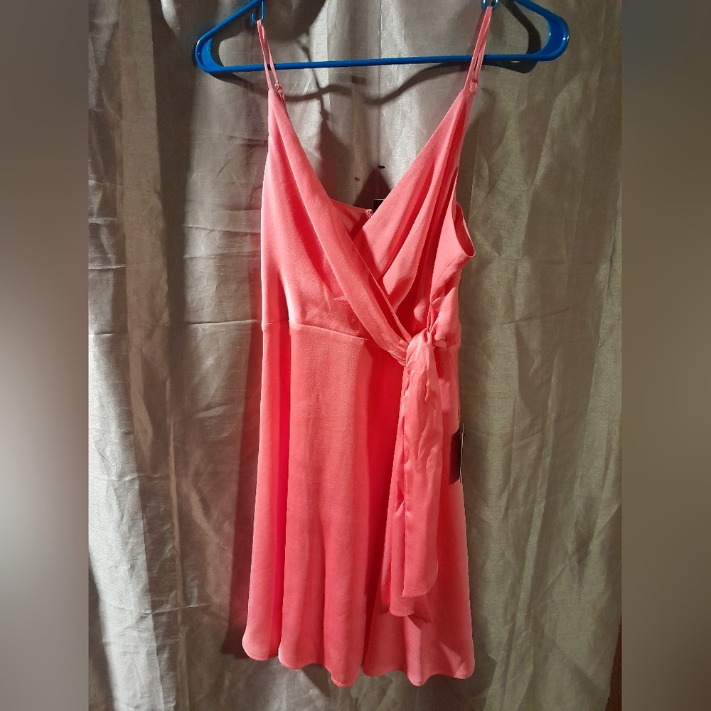 Express Chic Coral Dress